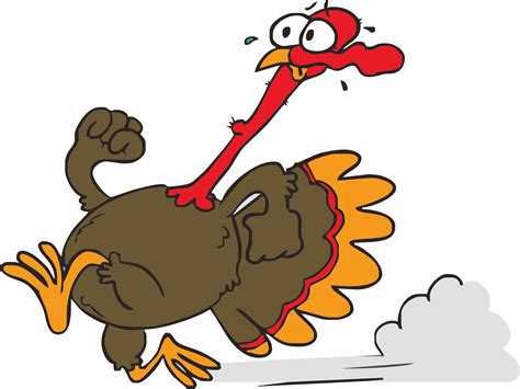 funny turkey pictures cartoons|cartoon funny turkeys.